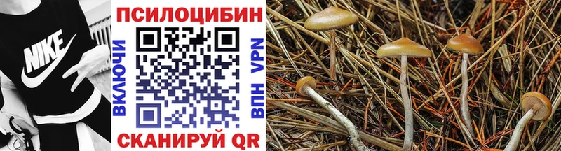 Галлюциногенные грибы Psilocybe  Углич 