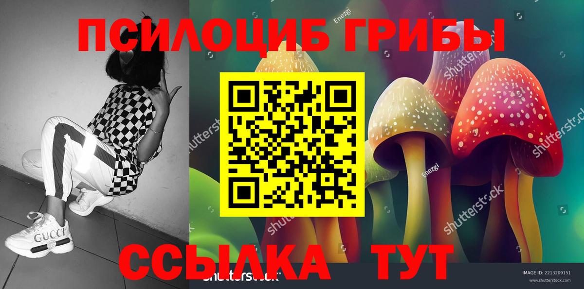 Галлюциногенные грибы мицелий Углич